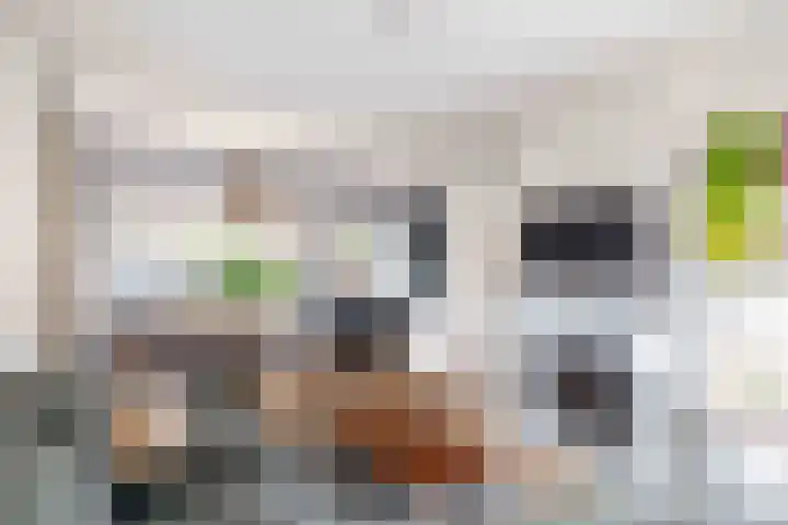 Johan Frisolaan 18 Den Bommel thumbnail 10