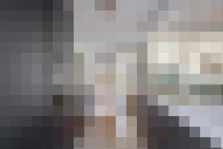 Johan Frisolaan 18 Den Bommel thumbnail 16