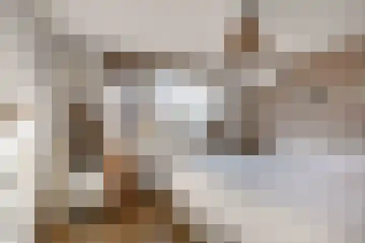 Johan Frisolaan 18 Den Bommel thumbnail 17