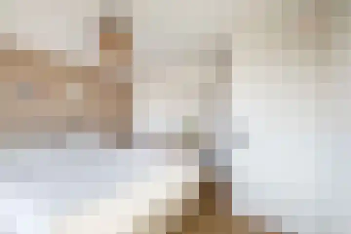 Johan Frisolaan 18 Den Bommel thumbnail 18