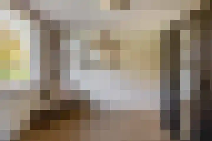 Johan Frisolaan 18 Den Bommel thumbnail 19