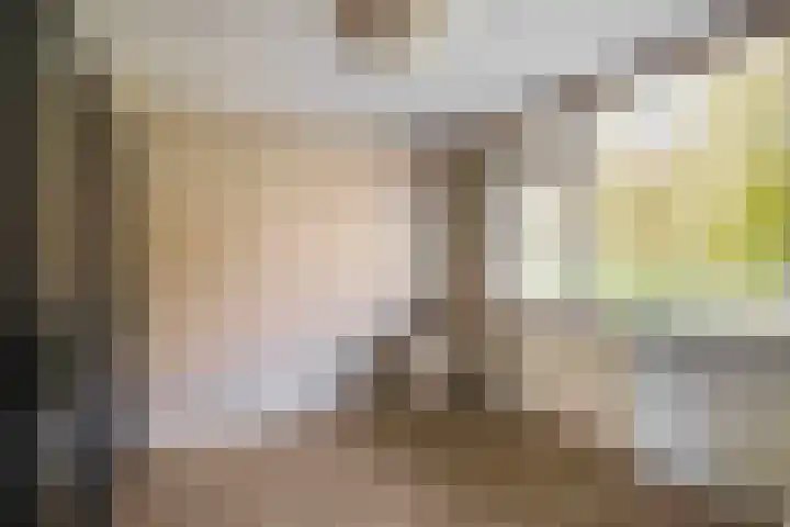 Johan Frisolaan 18 Den Bommel thumbnail 20
