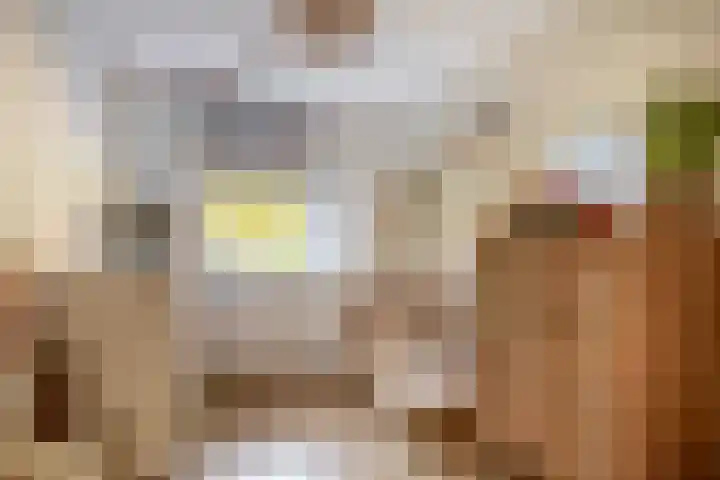 Johan Frisolaan 18 Den Bommel thumbnail 21