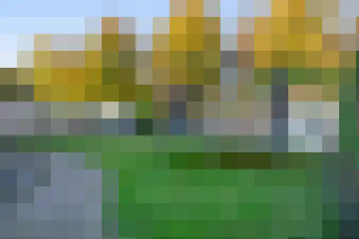 Johan Frisolaan 18 Den Bommel thumbnail 24