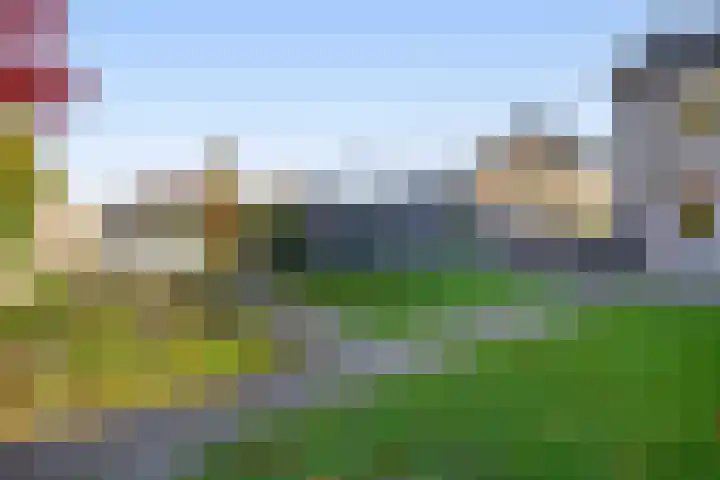 Johan Frisolaan 18 Den Bommel thumbnail 26