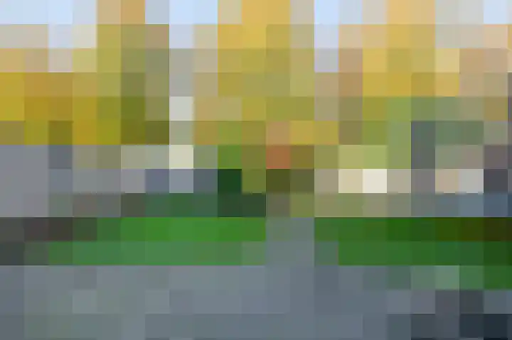 Johan Frisolaan 18 Den Bommel thumbnail 29