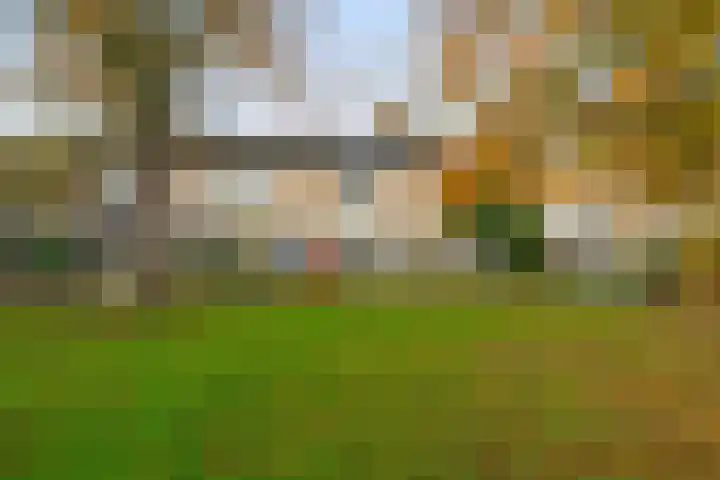 Johan Frisolaan 18 Den Bommel thumbnail 30