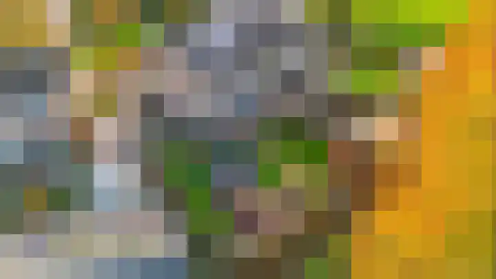 Johan Frisolaan 18 Den Bommel thumbnail 31