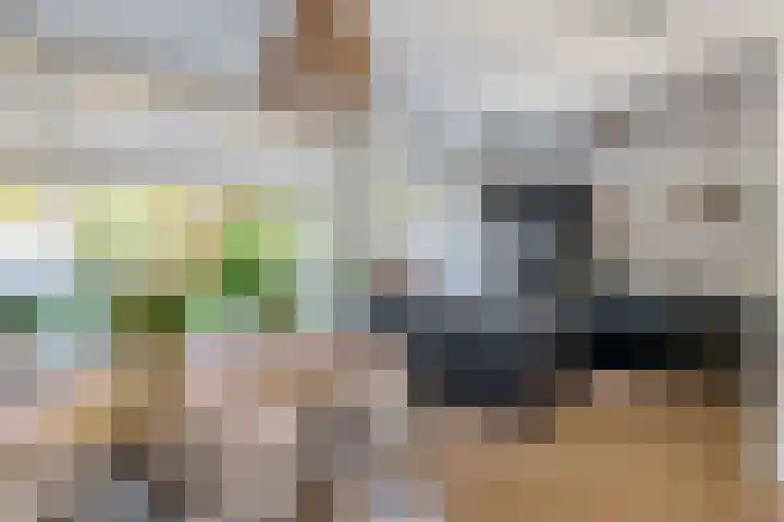 Johan Frisolaan 18 Den Bommel thumbnail 4