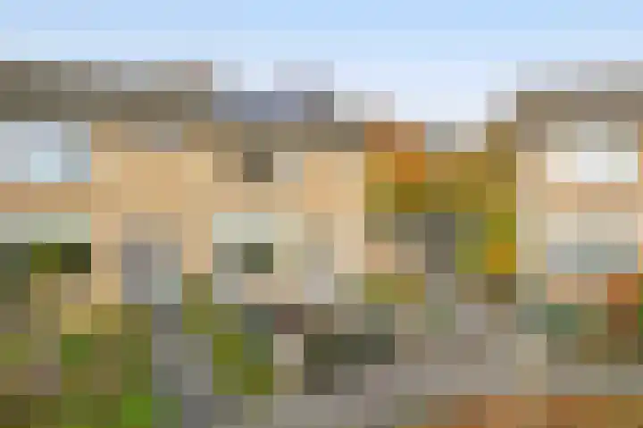 Johan Frisolaan 18 Den Bommel thumbnail 5