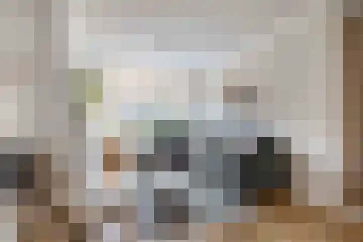 Johan Frisolaan 18 Den Bommel thumbnail 8