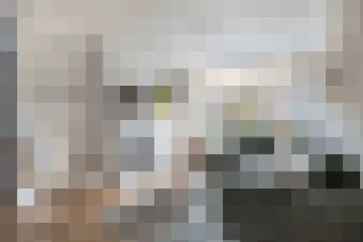 Johan Frisolaan 18 Den Bommel thumbnail 9