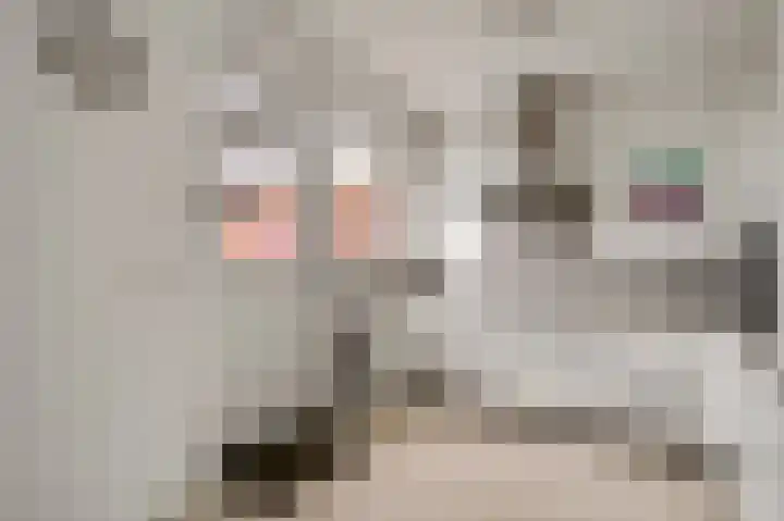 Johan-Frisolaan 18 Posterholt thumbnail 16