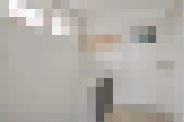 Johan-Frisolaan 18 Posterholt thumbnail 18