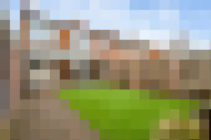 Johan-Frisolaan 18 Posterholt thumbnail 4