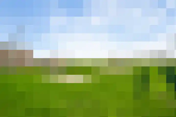 Johan-Frisolaan 18 Posterholt thumbnail 40