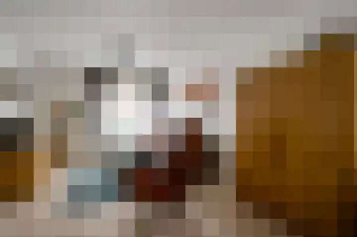 Johan-Frisolaan 18 Posterholt thumbnail 9