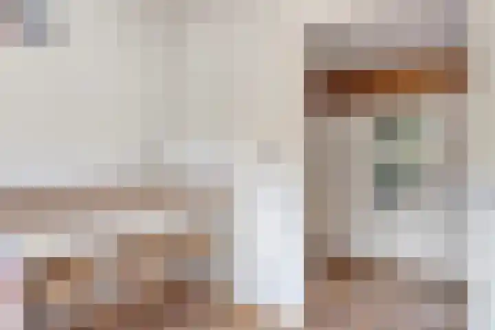Johan Frisolaan 29 Dinteloord thumbnail 11