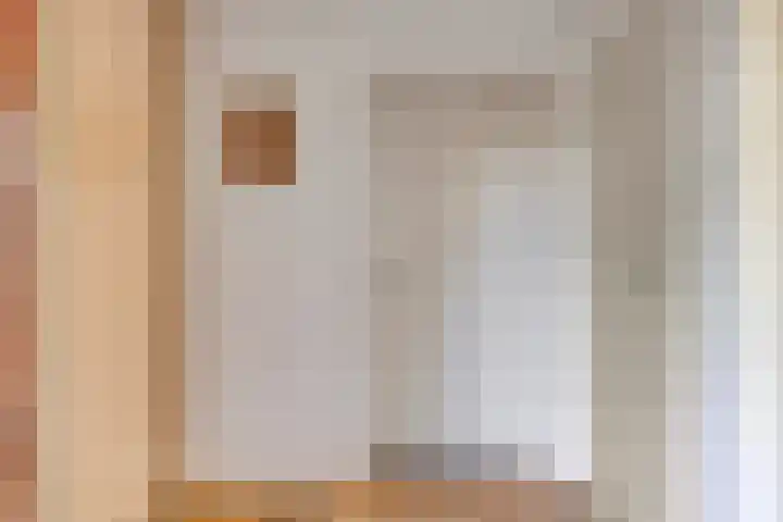 Johan Frisolaan 29 Dinteloord thumbnail 14