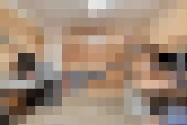Johan Frisolaan 29 Dinteloord thumbnail 16