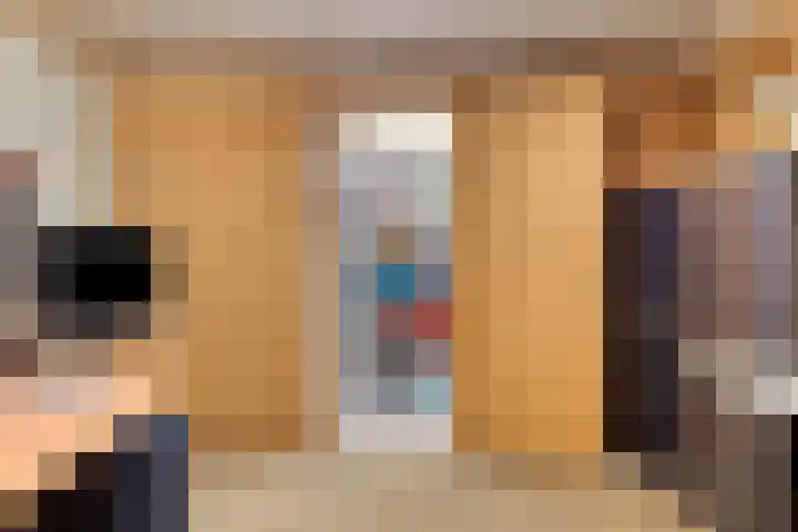 Johan Frisolaan 29 Dinteloord thumbnail 17