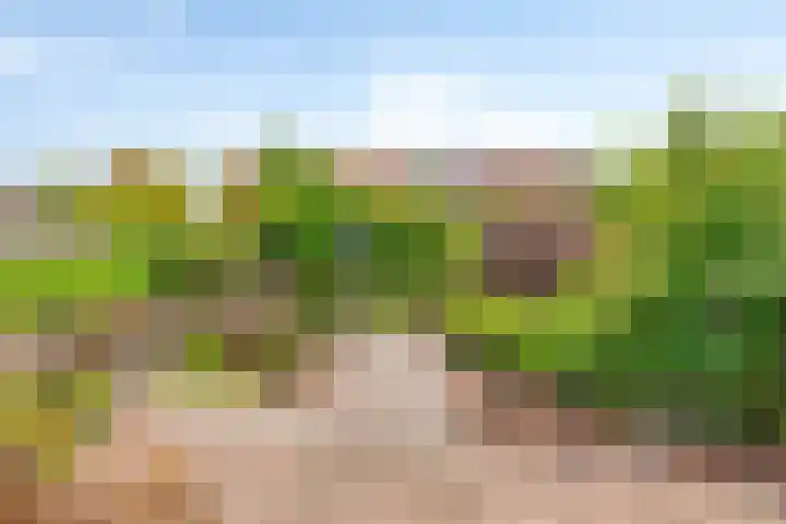 Johan Frisolaan 29 Dinteloord thumbnail 18