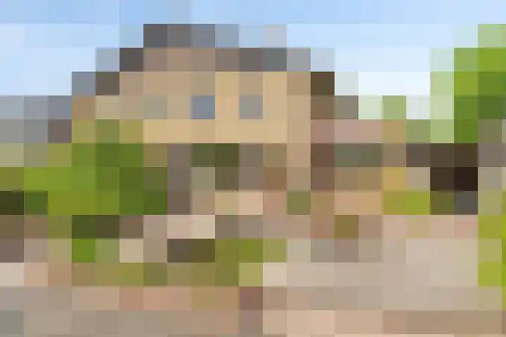 Johan Frisolaan 29 Dinteloord thumbnail 19