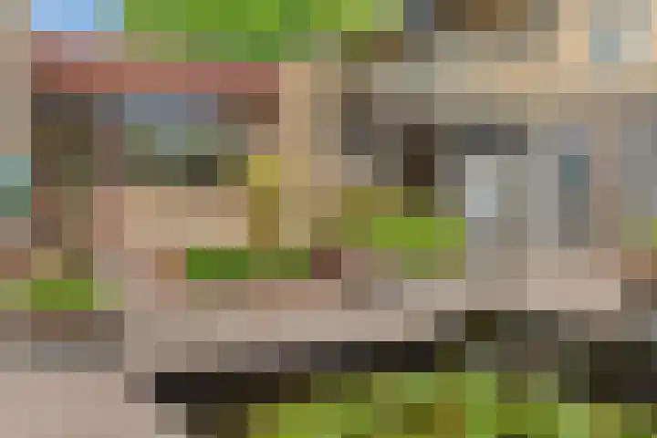 Johan Frisolaan 29 Dinteloord thumbnail 20
