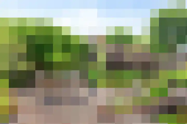 Johan Frisolaan 29 Dinteloord thumbnail 21