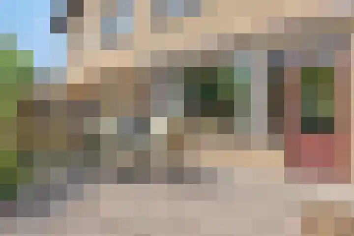 Johan Frisolaan 29 Dinteloord thumbnail 22