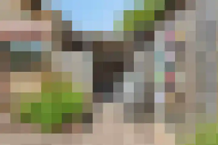 Johan Frisolaan 29 Dinteloord thumbnail 23