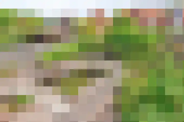 Johan Frisolaan 29 Dinteloord thumbnail 24