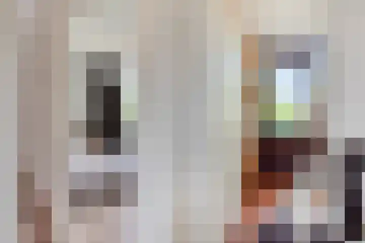Johan Frisolaan 29 Dinteloord thumbnail 25