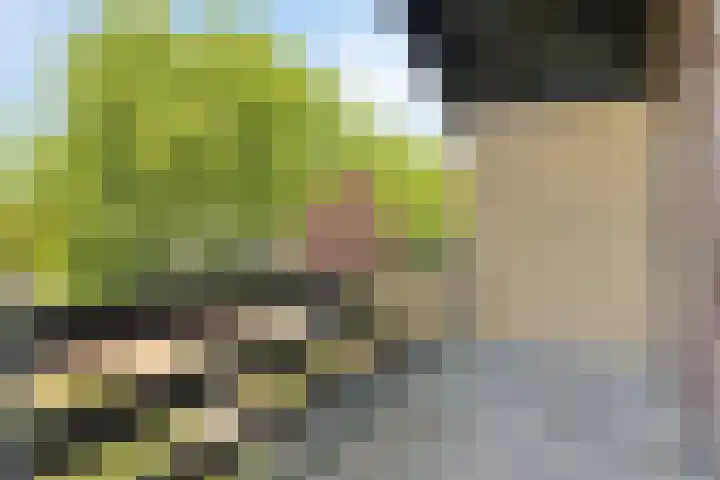 Johan Frisolaan 29 Dinteloord thumbnail 29