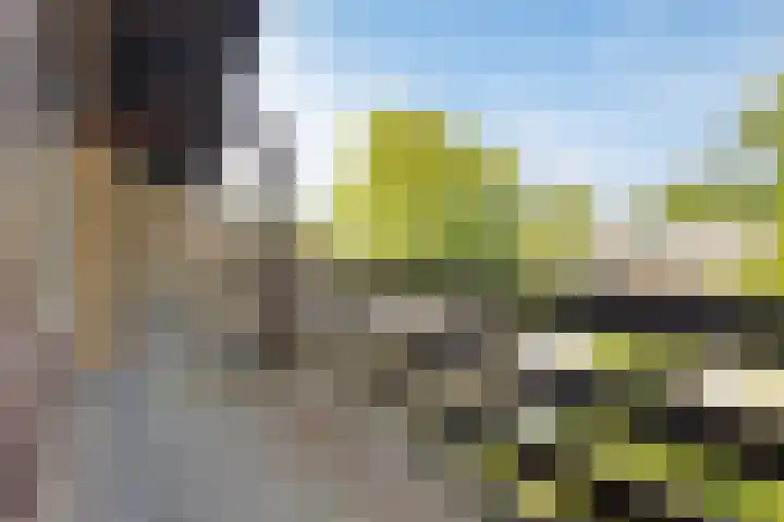 Johan Frisolaan 29 Dinteloord thumbnail 30