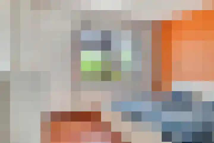 Johan Frisolaan 29 Dinteloord thumbnail 31