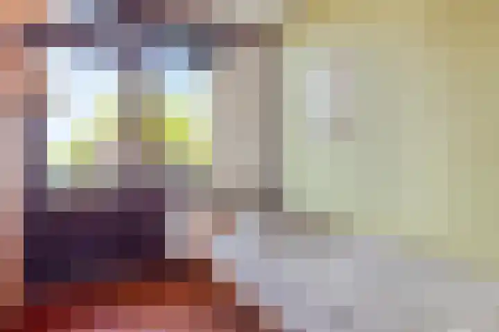 Johan Frisolaan 29 Dinteloord thumbnail 33