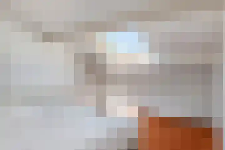 Johan Frisolaan 29 Dinteloord thumbnail 38