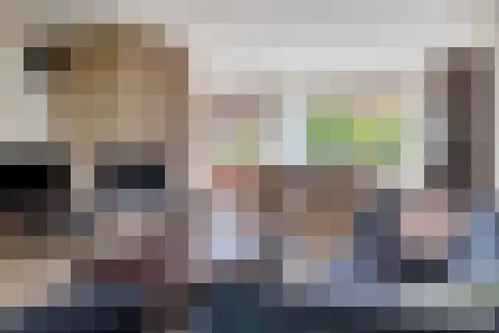 Johan Frisolaan 29 Dinteloord thumbnail 4