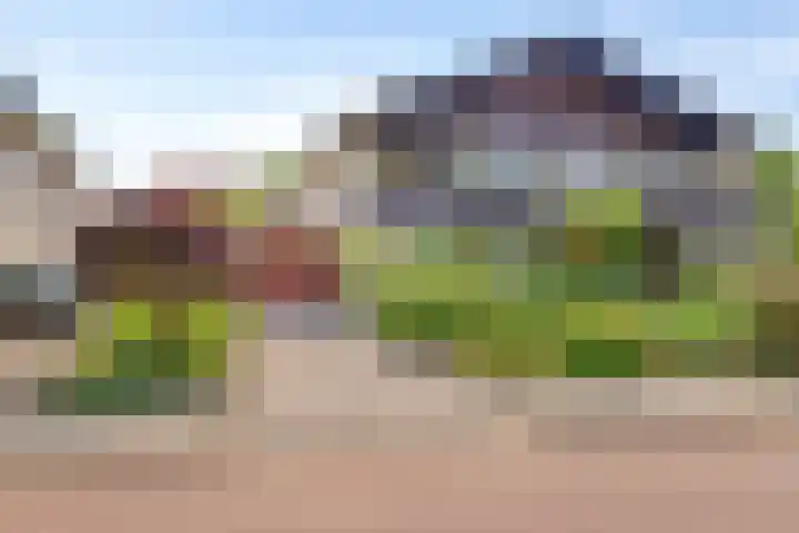 Johan Frisolaan 29 Dinteloord thumbnail 41