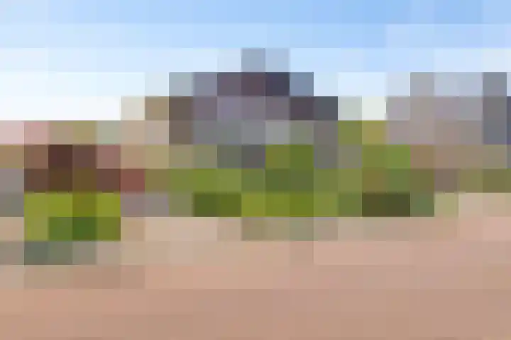 Johan Frisolaan 29 Dinteloord thumbnail 42
