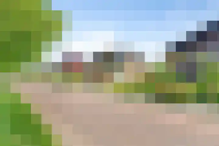 Johan Frisolaan 29 Dinteloord thumbnail 43