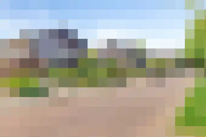 Johan Frisolaan 29 Dinteloord thumbnail 44