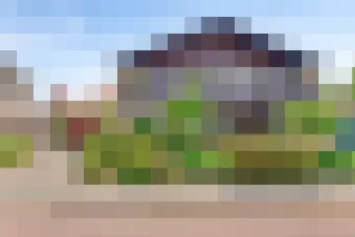 Johan Frisolaan 29 Dinteloord thumbnail 48