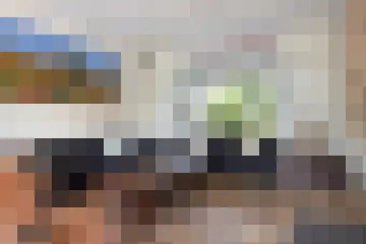 Johan Frisolaan 29 Dinteloord thumbnail 5