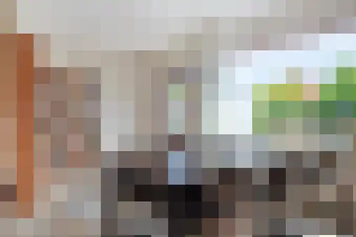 Johan Frisolaan 29 Dinteloord thumbnail 6