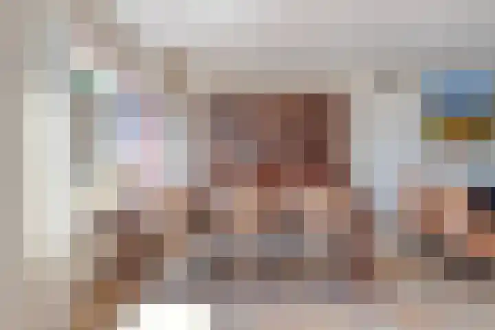 Johan Frisolaan 29 Dinteloord thumbnail 7