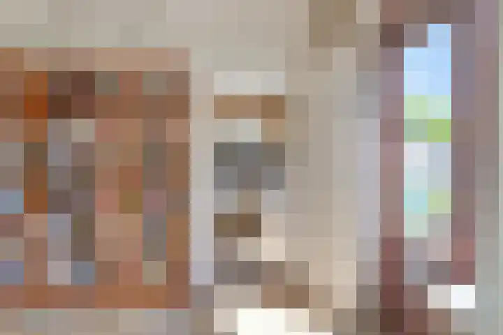 Johan Frisolaan 29 Dinteloord thumbnail 8