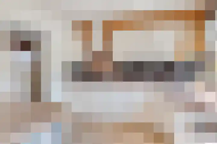 Johan Frisolaan 29 Dinteloord thumbnail 9