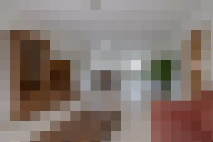 Johan Frisolaan 38 Den Bommel thumbnail 10
